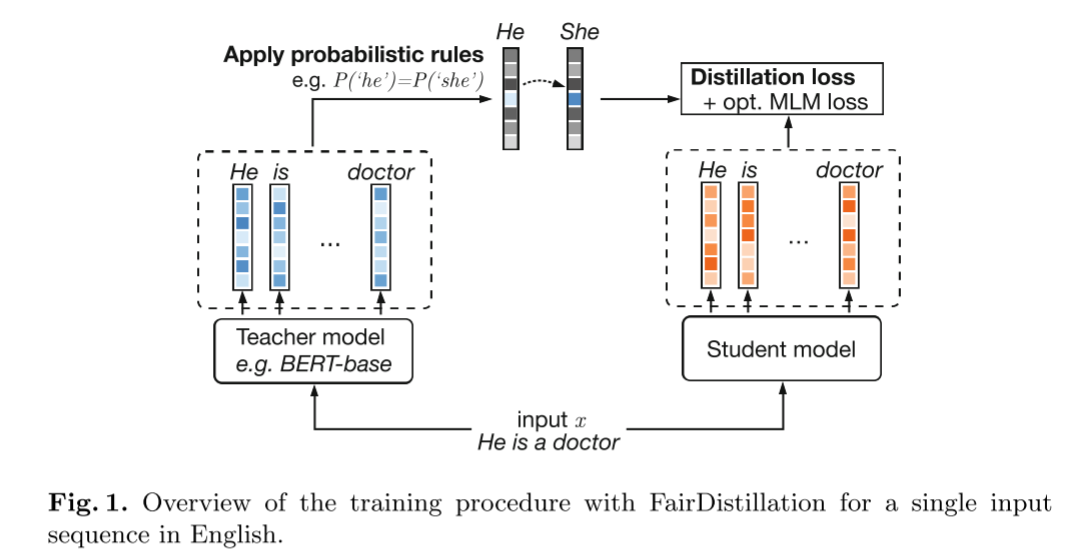 FairDistillation 示意图