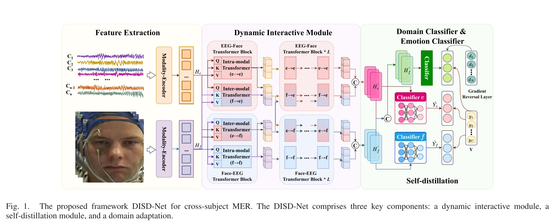 DISD-Net Architecture
